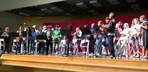 Many students standing on stage holding ukuleles